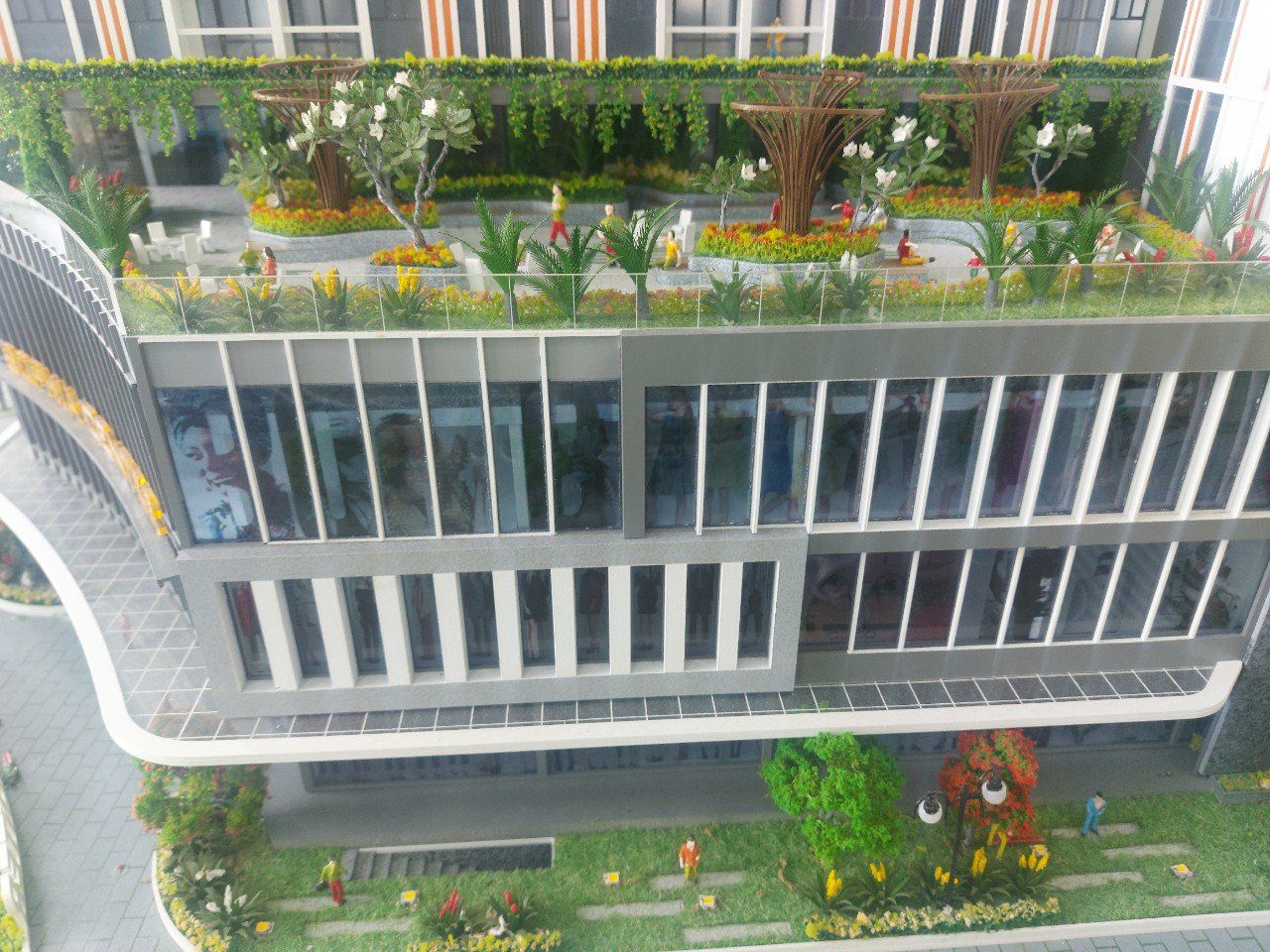 Sophia Center